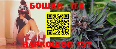 стаф Новодвинск