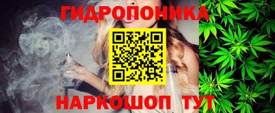 стаф Новодвинск
